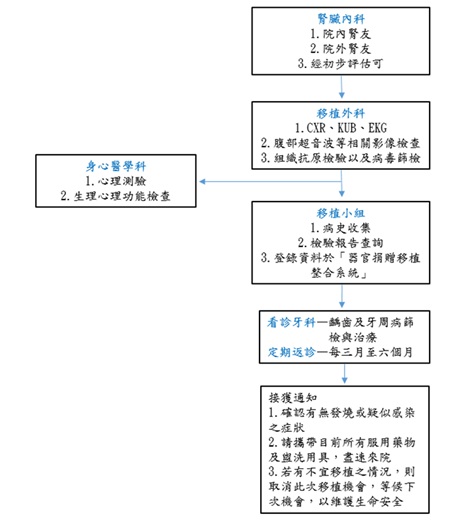 腎臟 63f1f