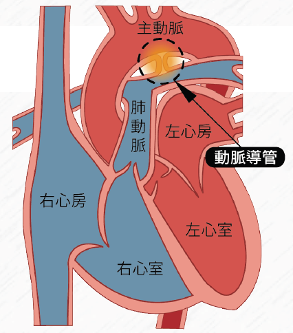 擷取 92822