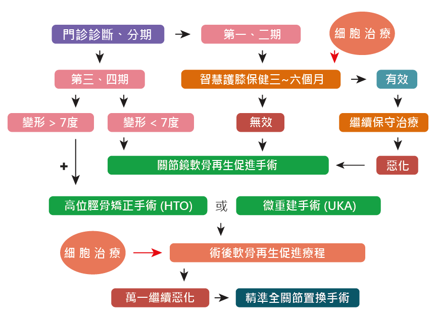 膝關節健康促進方案