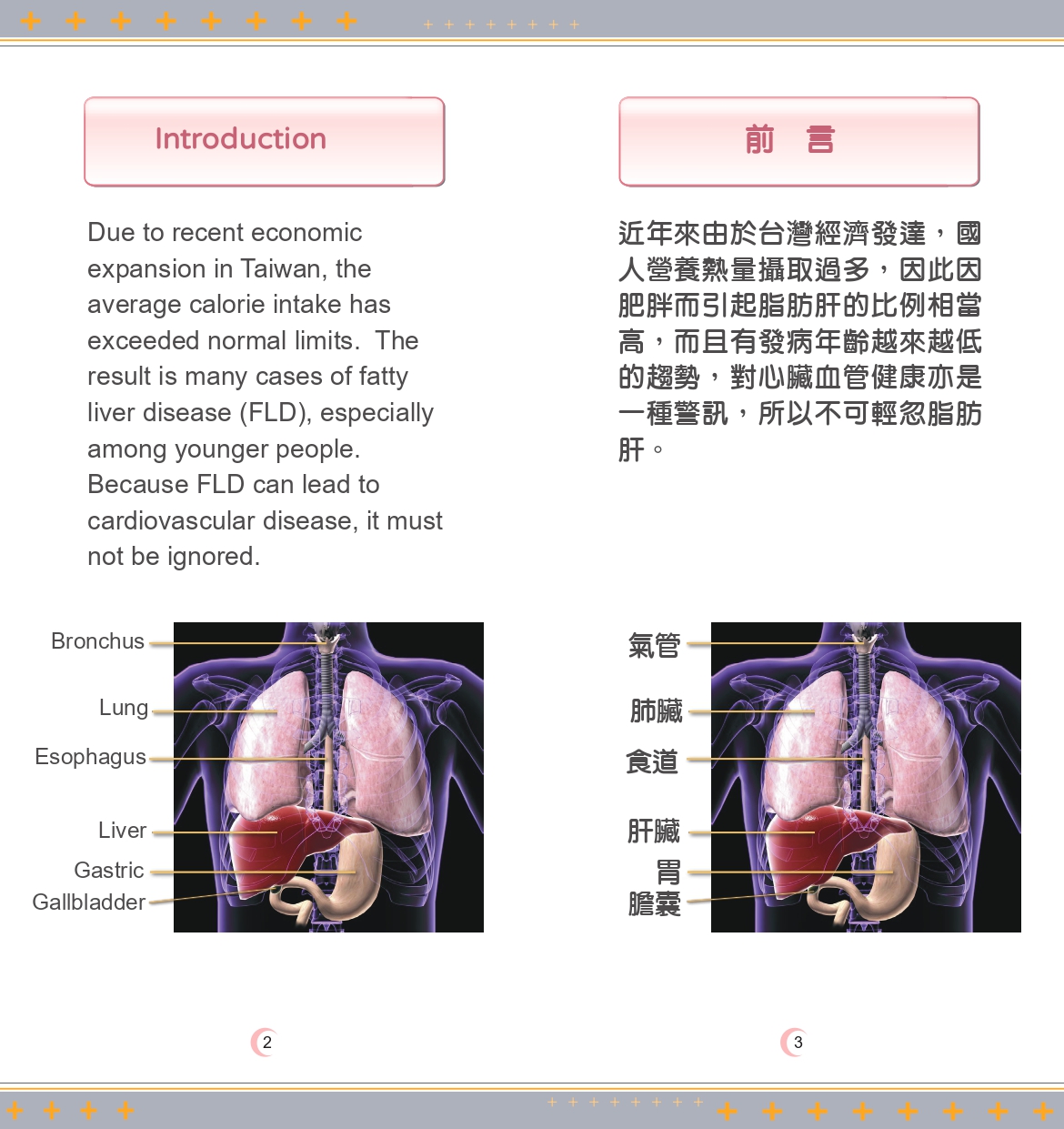 Fatty liver 04 page 0002 60eec